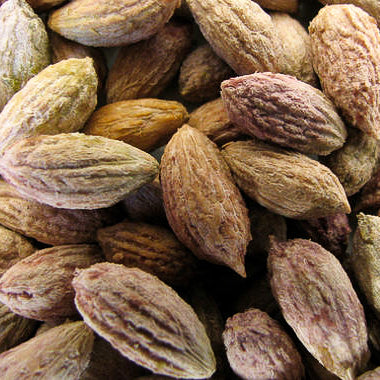 HUESO DE ACEITUNA COSMETICA