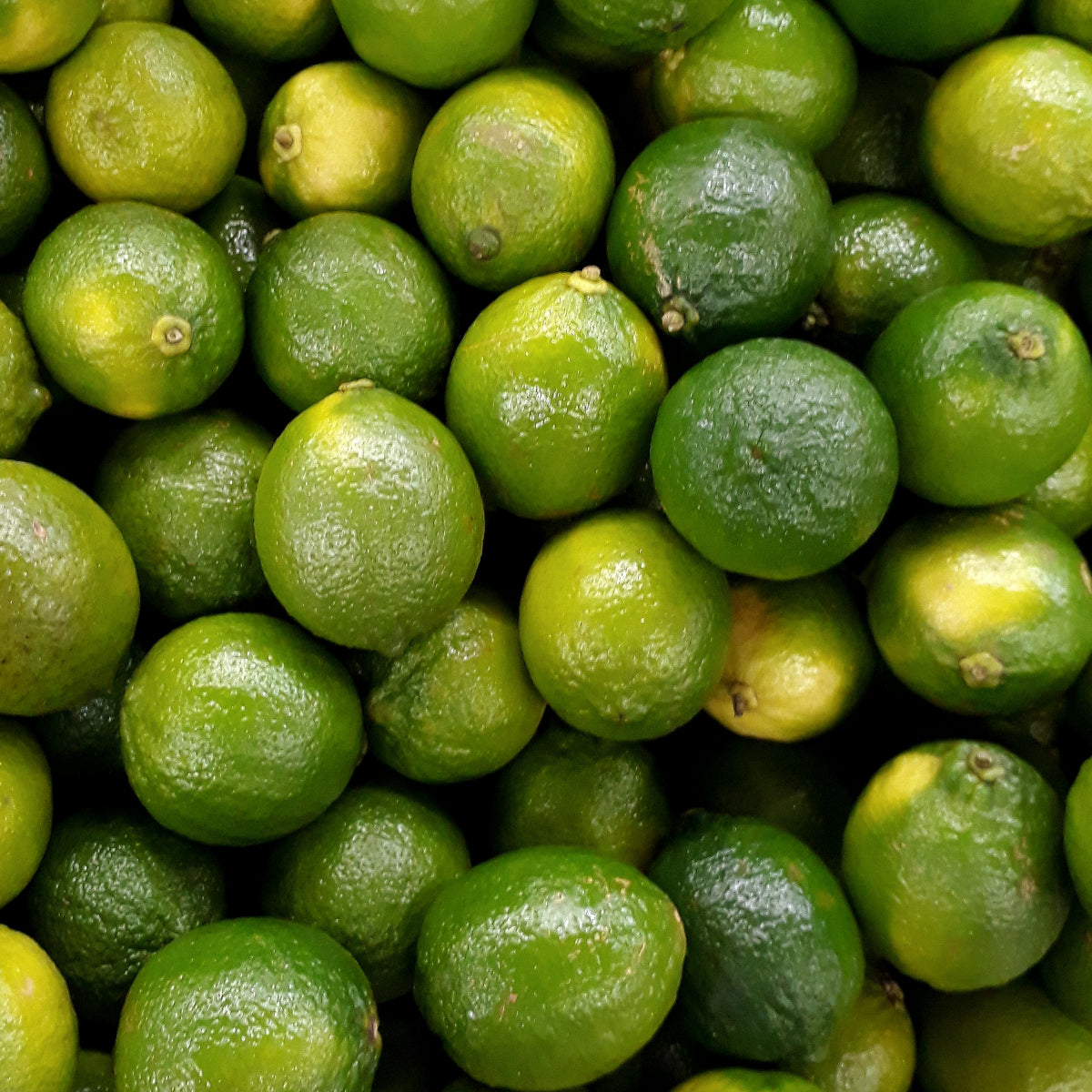 ACEITE ESENCIAL DE LIMA COSMETICA