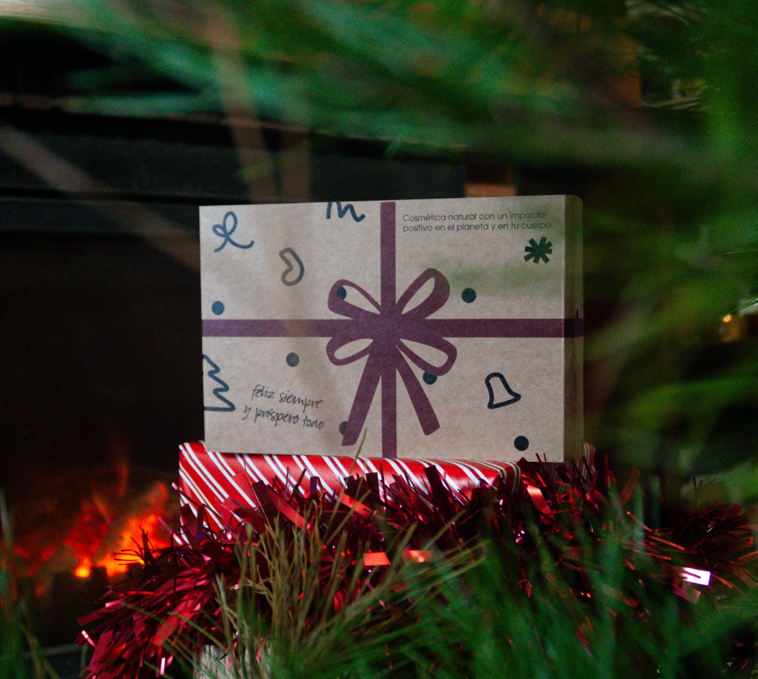 regalos sostenibles eco